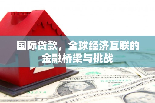 沈北新区国际贷款，全球经济互联的金融桥梁与挑战