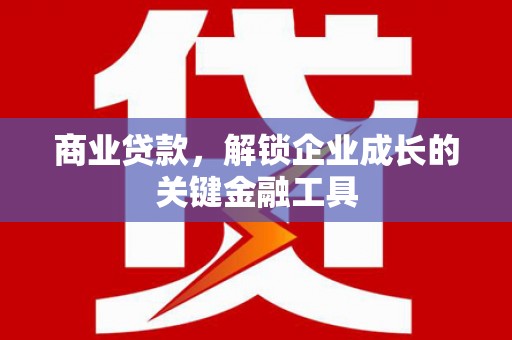 无极商业贷款，解锁企业成长的关键金融工具