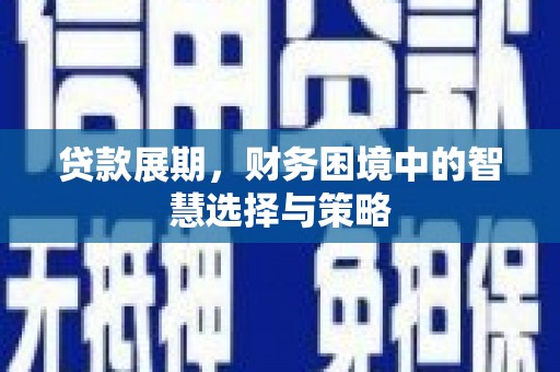 普格贷款展期，财务困境中的智慧选择与策略