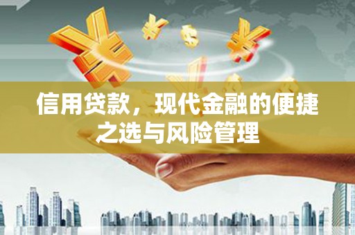 新店信用贷款，现代金融的便捷之选与风险管理