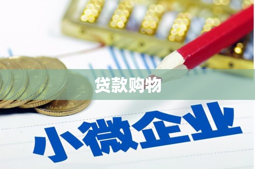 溆浦贷款购物