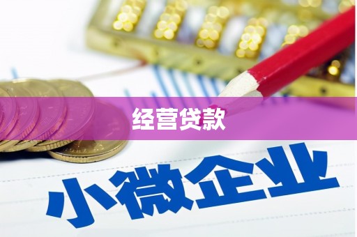 花莲经营贷款