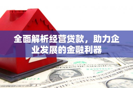 盘龙全面解析经营贷款，助力企业发展的金融利器
