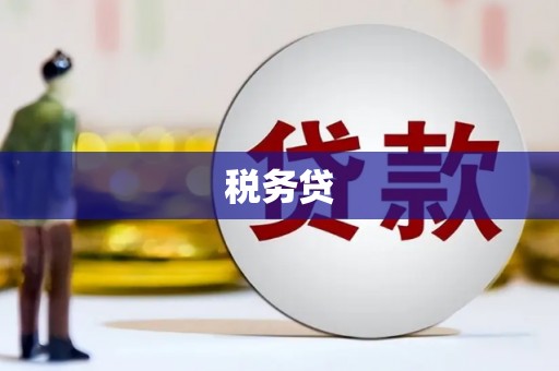 浔阳税务贷