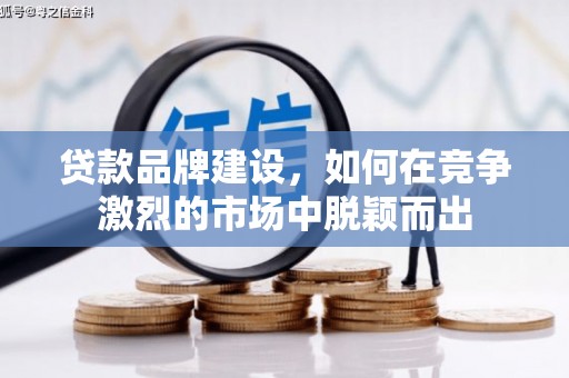 望谟贷款品牌建设，如何在竞争激烈的市场中脱颖而出