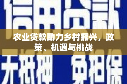 宁晋农业贷款助力乡村振兴，政策、机遇与挑战