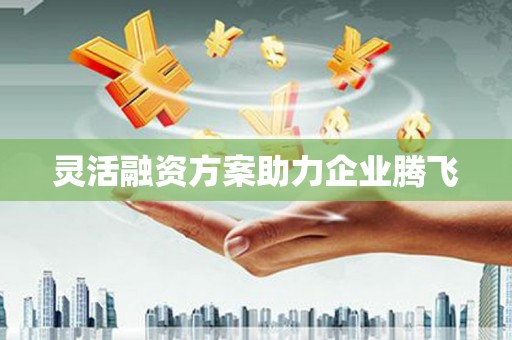新华灵活融资方案助力企业腾飞