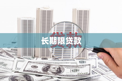 友谊长期限贷款
