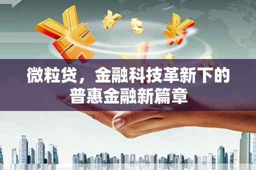 佛冈微粒贷，金融科技革新下的普惠金融新篇章