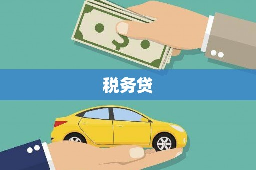 南阳税务贷