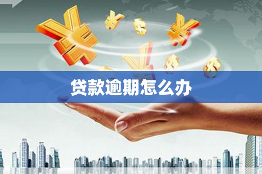 柳营贷款逾期怎么办