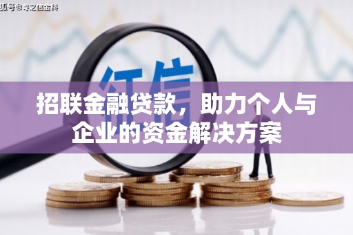 赫山招联金融贷款，助力个人与企业的资金解决方案