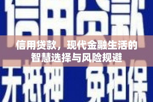 巴青信用贷款，现代金融生活的智慧选择与风险规避