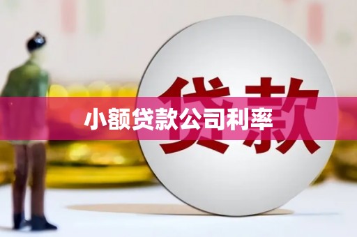 错那小额贷款公司利率