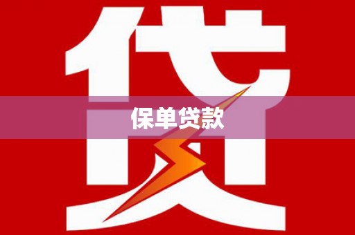 美溪保单贷款