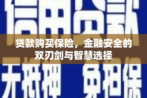 云龙贷款购买保险，金融安全的双刃剑与智慧选择