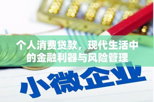 越西个人消费贷款，现代生活中的金融利器与风险管理