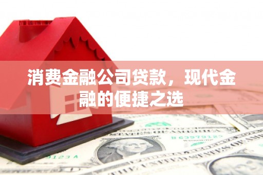 天宁消费金融公司贷款，现代金融的便捷之选