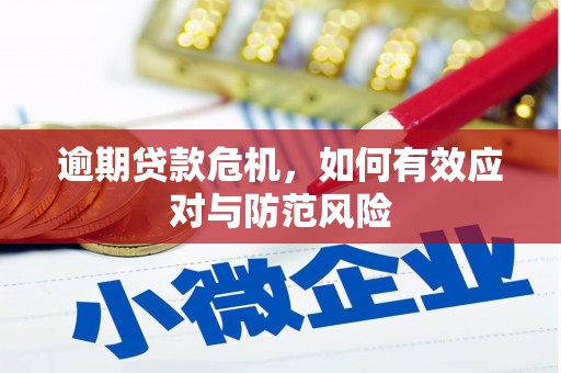 特克斯逾期贷款危机，如何有效应对与防范风险