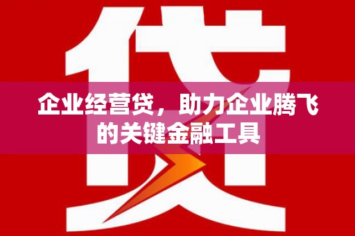 二水企业经营贷，助力企业腾飞的关键金融工具