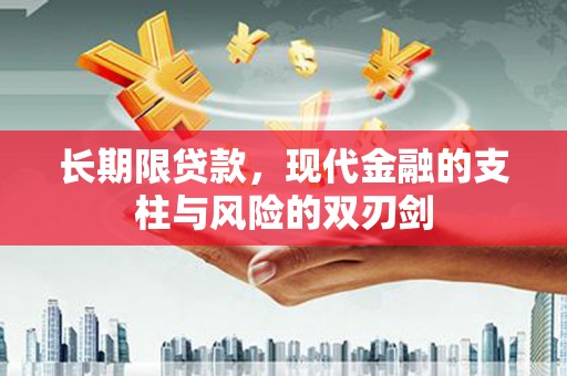 特克斯长期限贷款，现代金融的支柱与风险的双刃剑