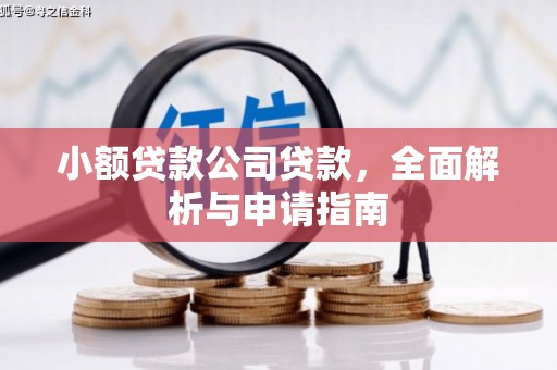 成县小额贷款公司贷款，全面解析与申请指南