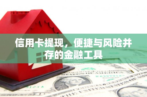 元谋信用卡提现，便捷与风险并存的金融工具