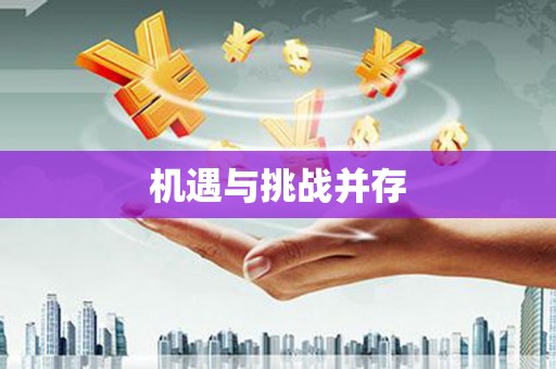 沈北新区机遇与挑战并存