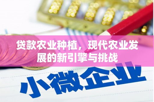 盂县贷款农业种植，现代农业发展的新引擎与挑战