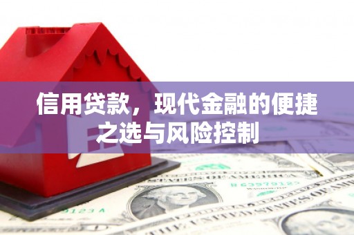 圣方济各堂区信用贷款，现代金融的便捷之选与风险控制
