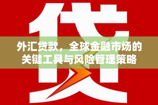 潍坊外汇贷款，全球金融市场的关键工具与风险管理策略