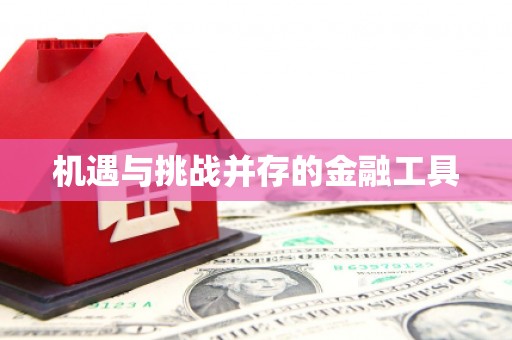 石鼓机遇与挑战并存的金融工具