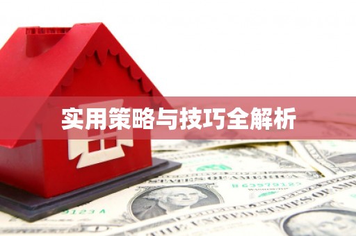 湖北实用策略与技巧全解析