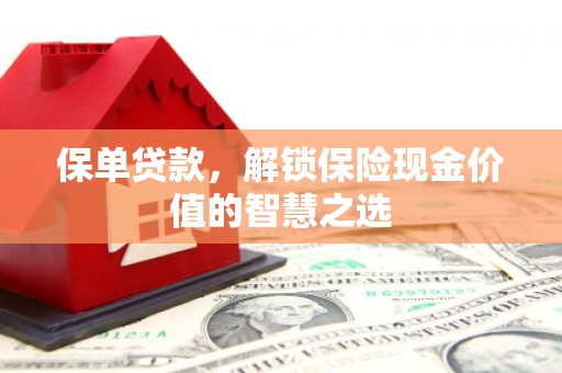 云浮保单贷款，解锁保险现金价值的智慧之选