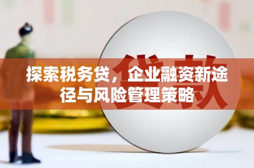 安定探索税务贷，企业融资新途径与风险管理策略