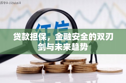 东台贷款担保，金融安全的双刃剑与未来趋势
