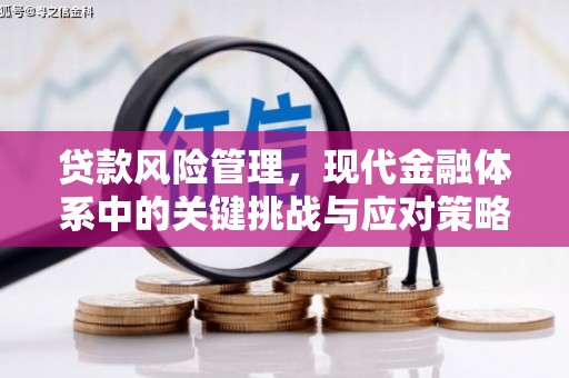 贡井贷款风险管理，现代金融体系中的关键挑战与应对策略