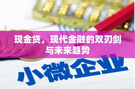 岷县现金贷，现代金融的双刃剑与未来趋势