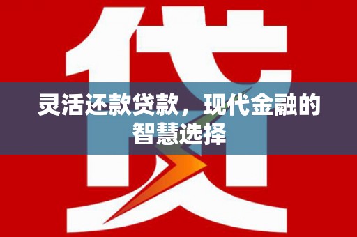 光泽灵活还款贷款，现代金融的智慧选择