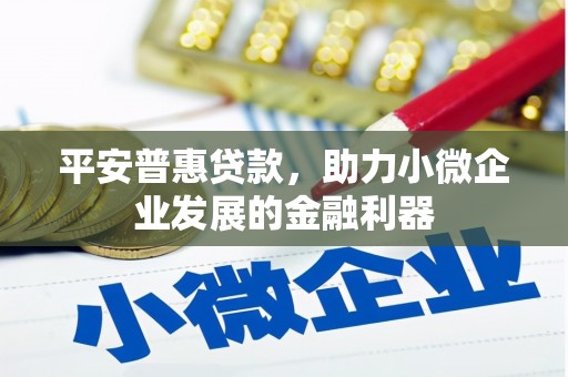 沿河平安普惠贷款，助力小微企业发展的金融利器