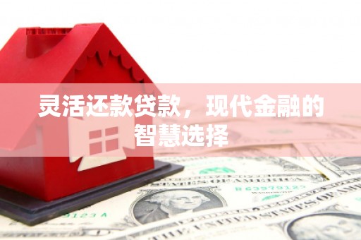 社旗灵活还款贷款，现代金融的智慧选择