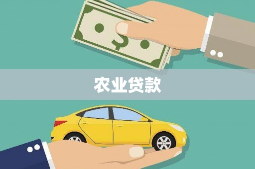 朔城农业贷款