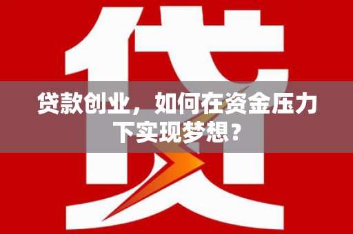 岳阳贷款创业，如何在资金压力下实现梦想？