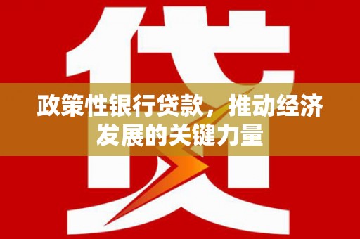 郴州政策性银行贷款，推动经济发展的关键力量
