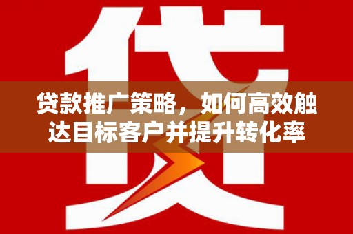 卢龙贷款推广策略，如何高效触达目标客户并提升转化率