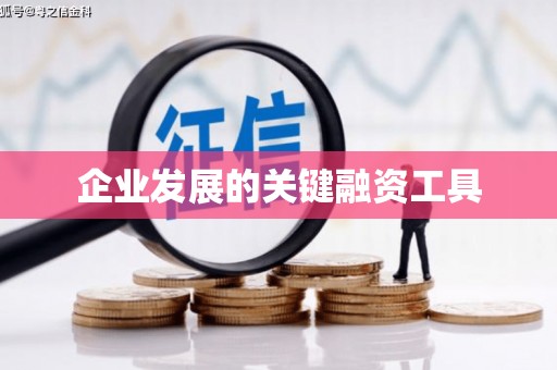 永新企业发展的关键融资工具