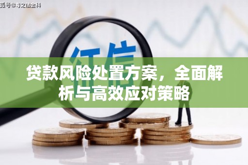 随县贷款风险处置方案，全面解析与高效应对策略