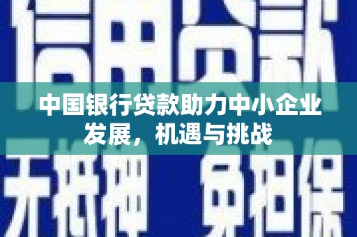 商南中国银行贷款助力中小企业发展，机遇与挑战