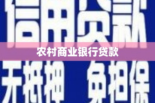 碑林农村商业银行贷款