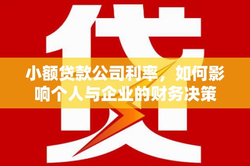 洋县小额贷款公司利率，如何影响个人与企业的财务决策